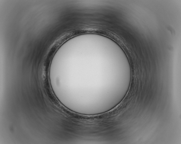 X0000114230731200910091328