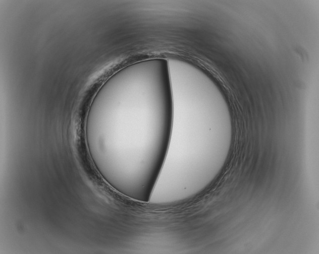 X0000114230732200910091328