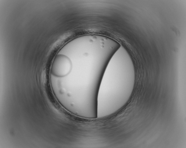 X0000114230734200910091328