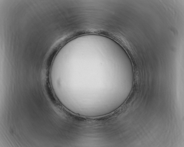 X0000114230736200910091328