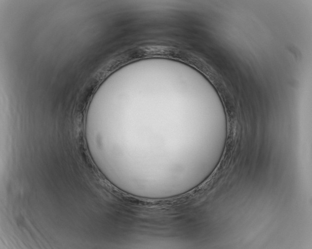 X0000114230737200910091328
