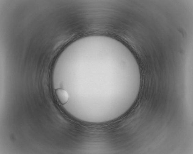 X0000114230740200910091328
