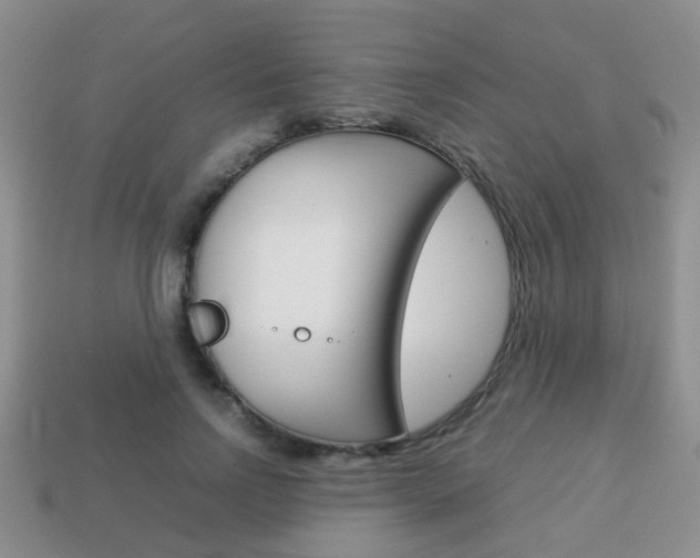 X0000114230742200910091328