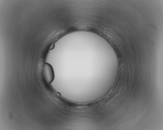 X0000114230744200910091328
