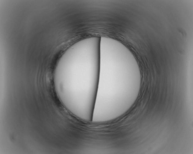 X0000114230747200910091328