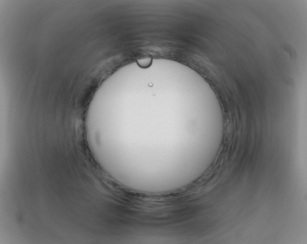 X0000114230749200910091328