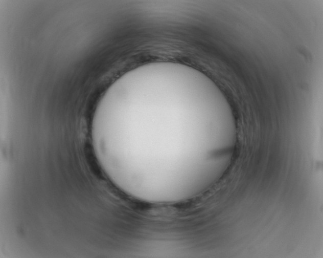 X0000114230752200910091328