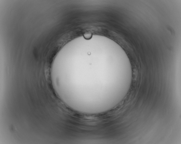 X0000114230753200910091328