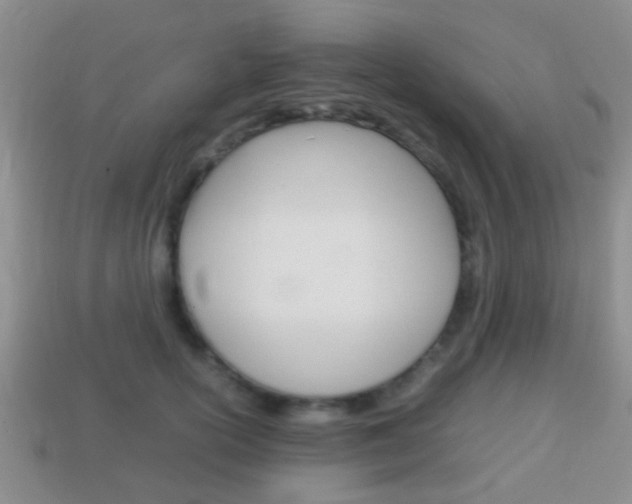 X0000114230754200910091328