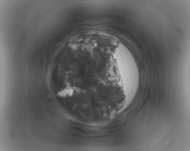 X0000114230757200910091328