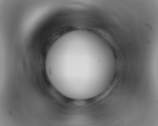 X0000114230762200910091328