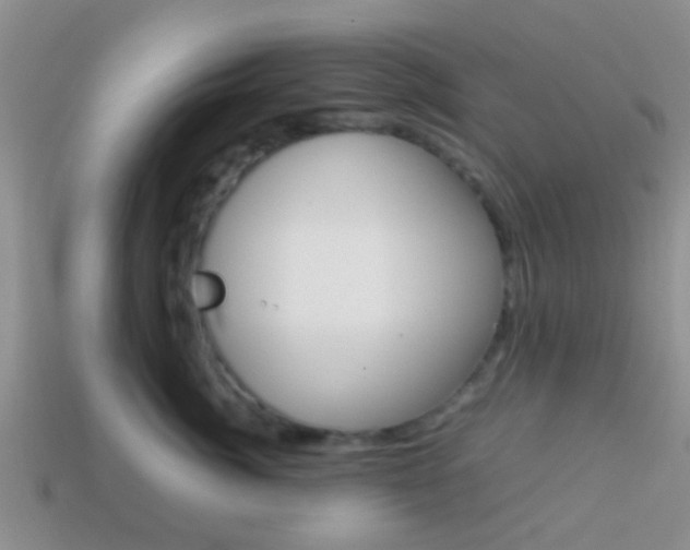 X0000114230764200910091328