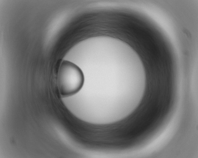 X0000114230766200910091328