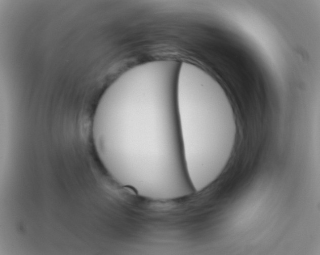 X0000114230767200910091328