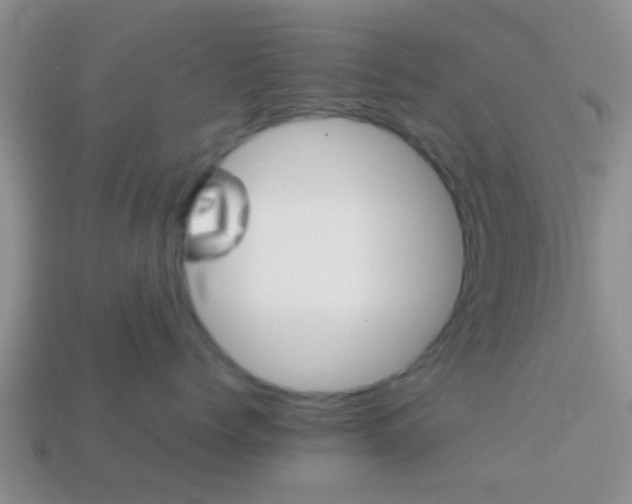 X0000114230768200910091328