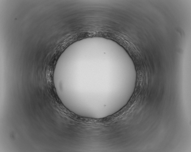 X0000114230770200910091327
