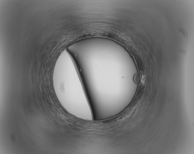 X0000114230771200910091327