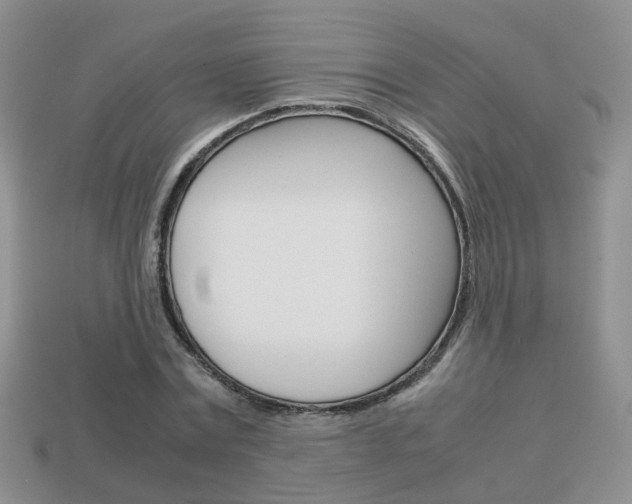 X0000114230779200910091327