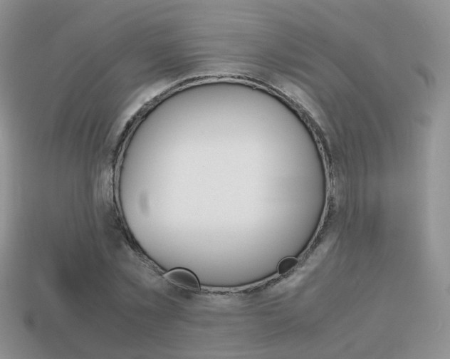 X0000114230781200910091327