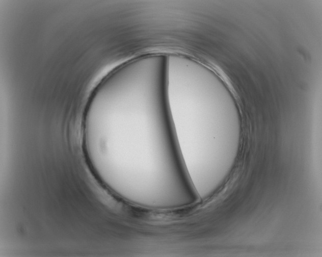 X0000114230795200910091327