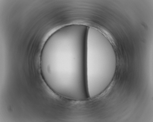 X0000114230808200910091327