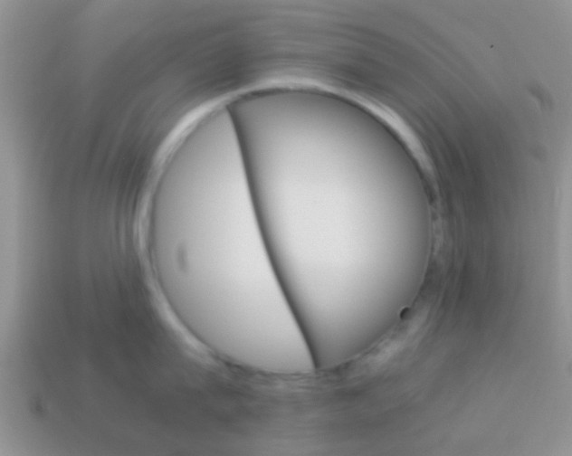 X0000114230815200910091327