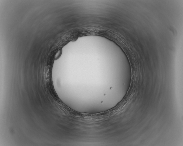 X0000114230818200910091326