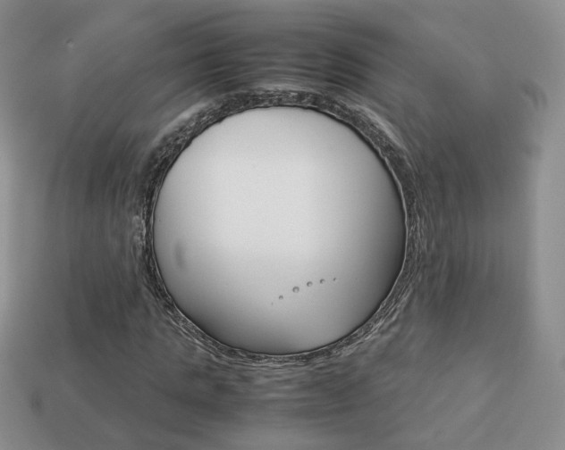 X0000114230821200910091326