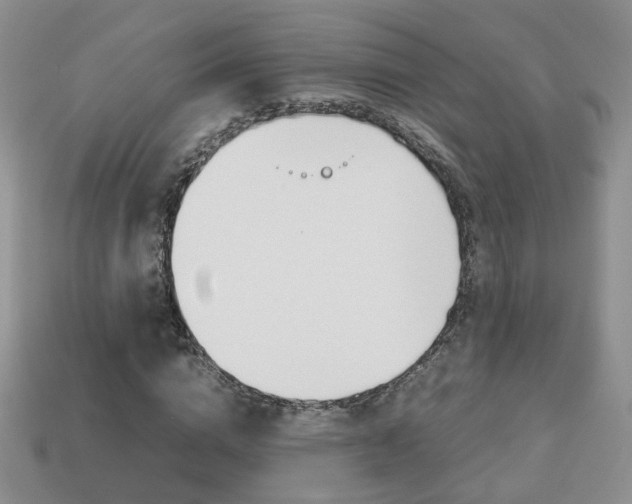 X0000114230824200910091326
