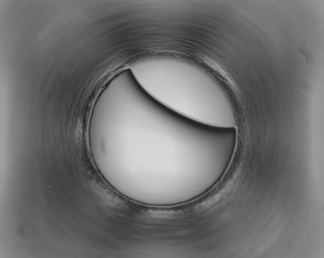 X0000114230825200910091326