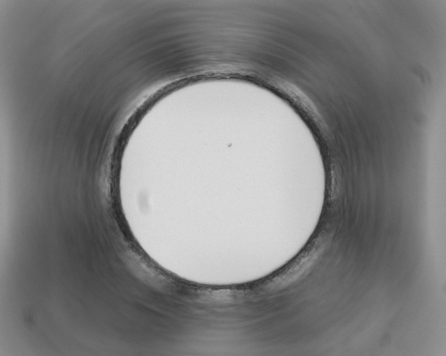 X0000114230828200910091326