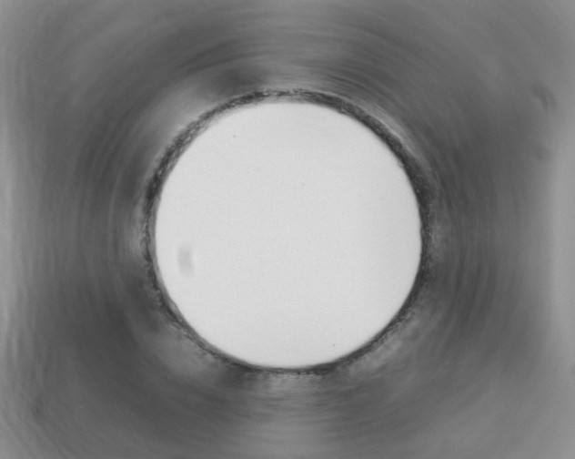X0000114230832200910091326