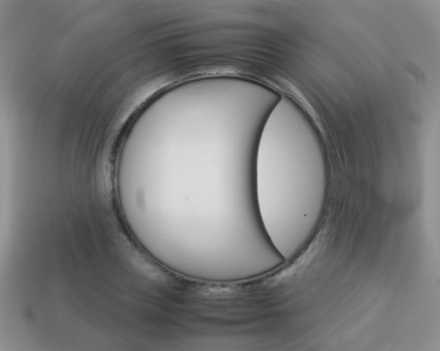 X0000114230835200910091326