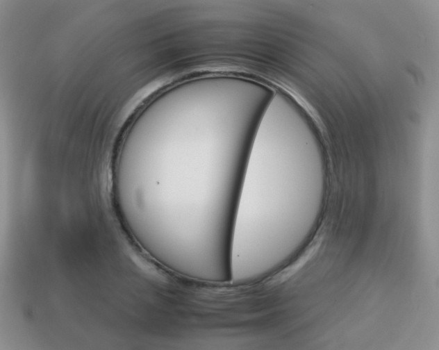X0000114230837200910091326