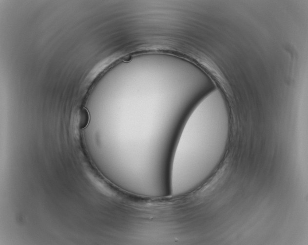 X0000114230842200910091326