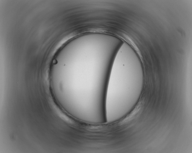 X0000114230843200910091326