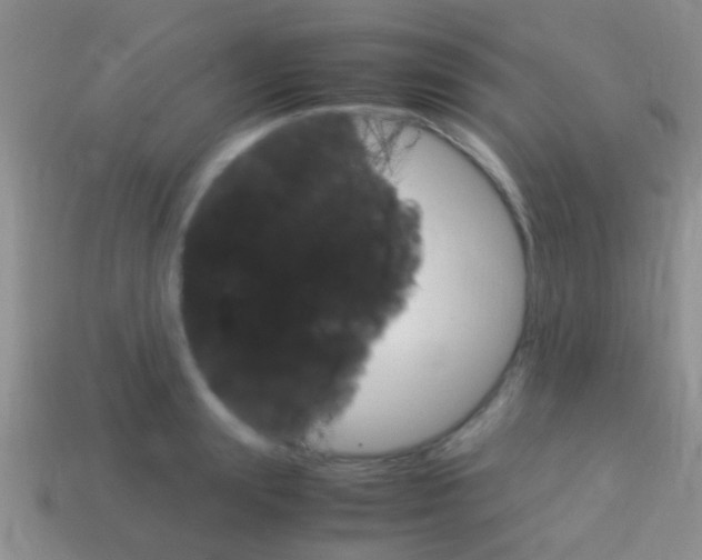 X0000114230847200910091326