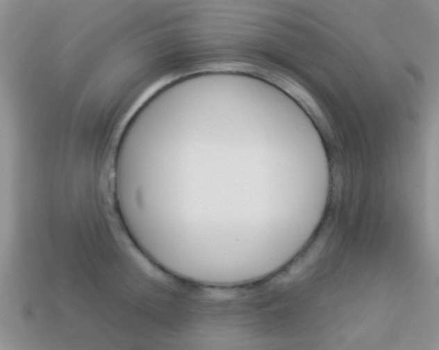 X0000114230852200910091326