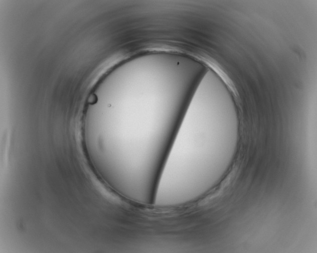 X0000114230853200910091326