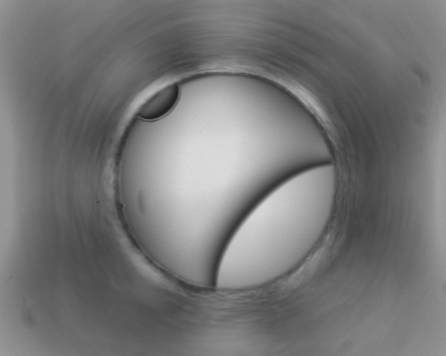 X0000114230854200910091326