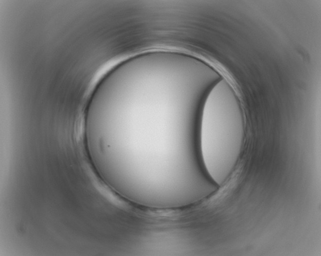 X0000114230862200910091327