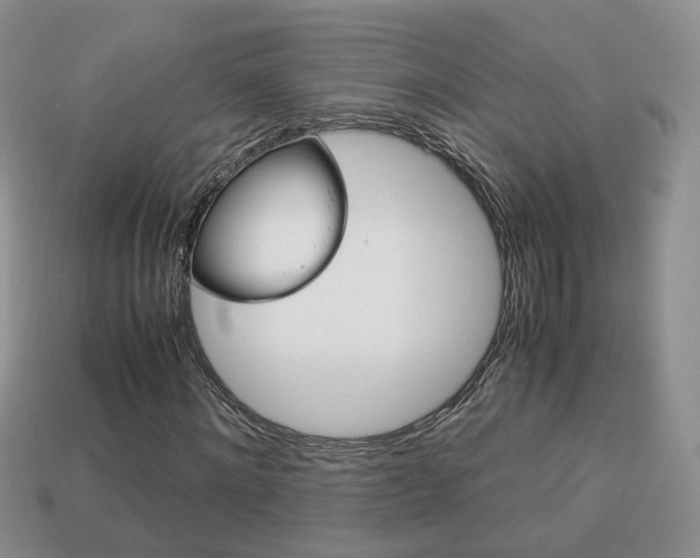 X0000114230868200910091326