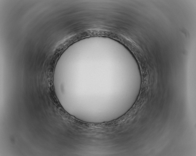 X0000114230870200910091326
