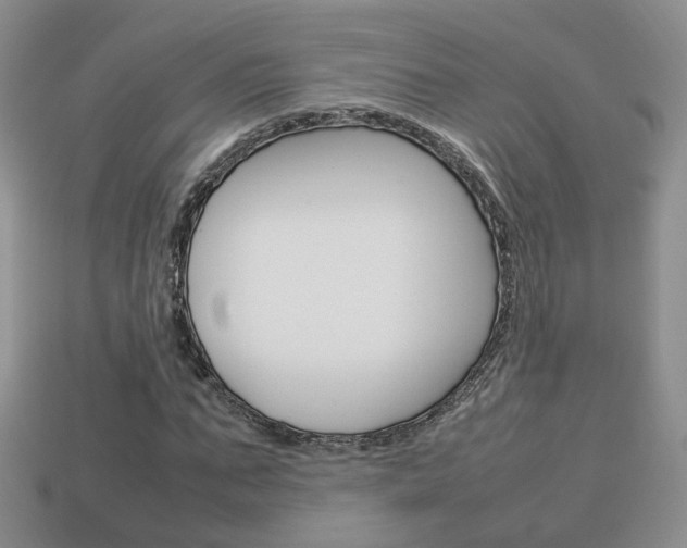 X0000114230871200910091326