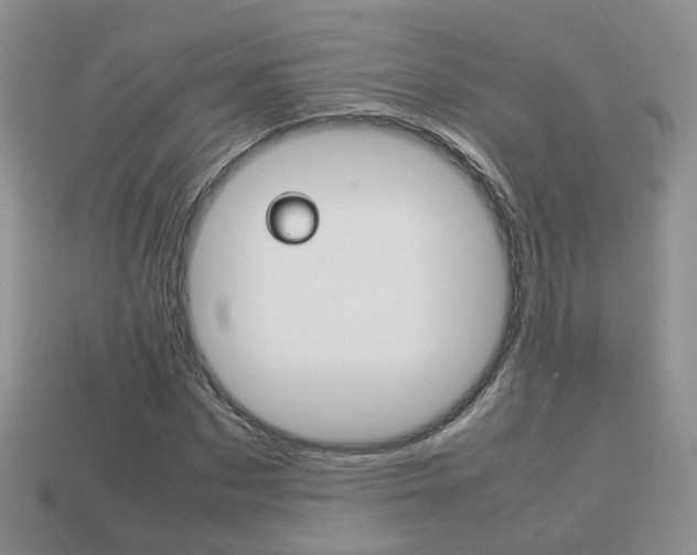 X0000114230873200910091326