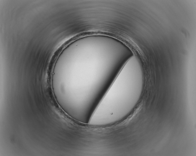 X0000114230876200910091326