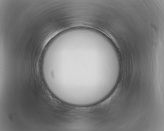 X0000114230877200910091326