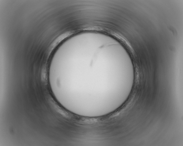 X0000114230882200910091326