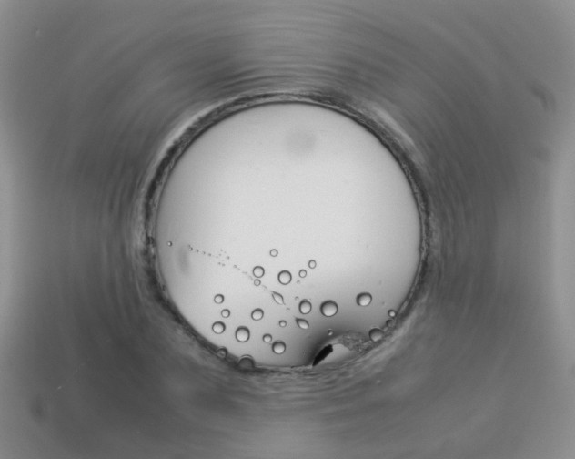 X0000114230883200910091326