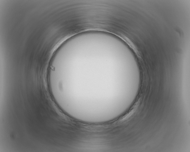 X0000114230885200910091326